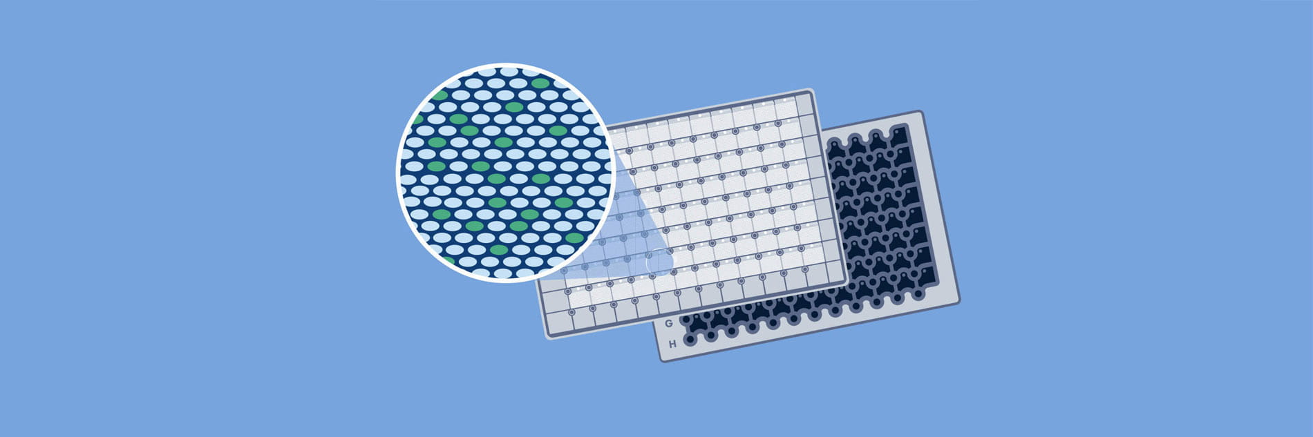 digital PCR, dPCR, Nanoplate principle